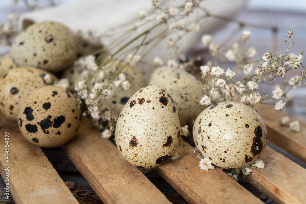 Fresh quail eggs. Rustic style on wood background, close-up, selective focus