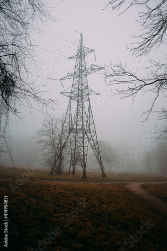 Autumn forest scenery fog pines abandoned in Belarus Minsk