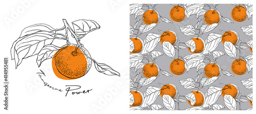 Collection of print and seamless texture. Orange Tangerine with leaves. Textile composition, hand drawn style print. Vector illustration. 