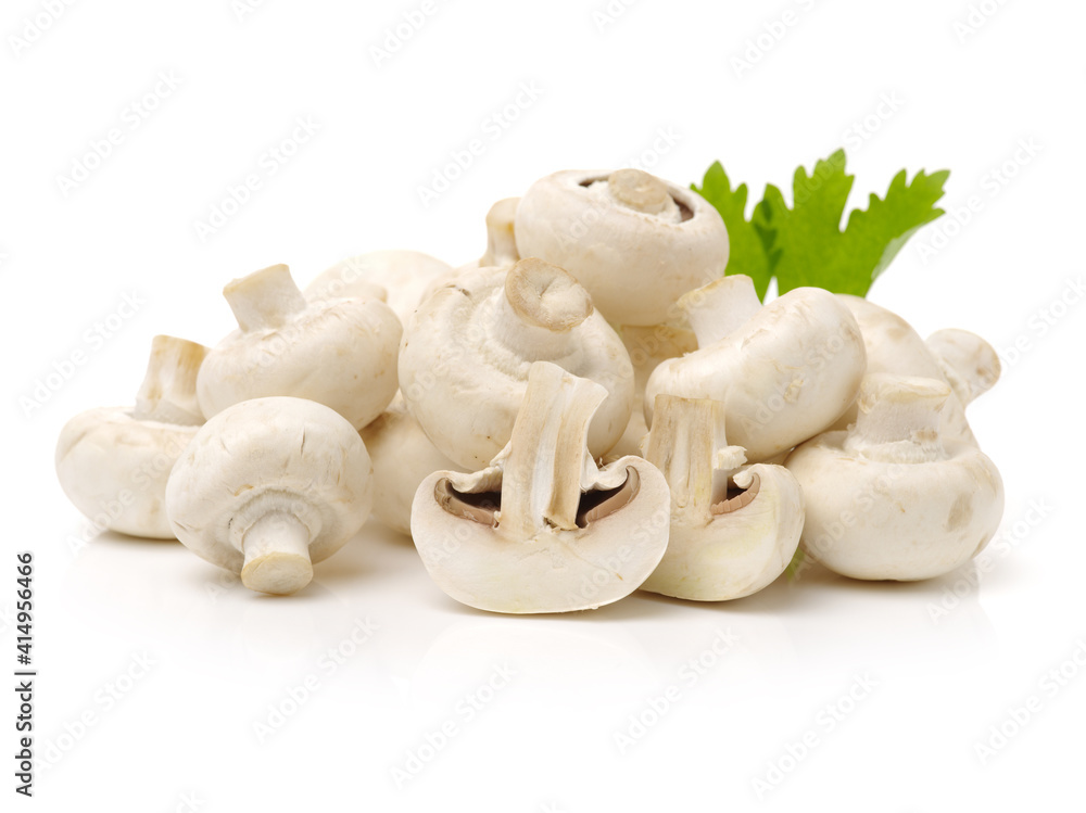 Fototapeta premium White mushrooms on white background