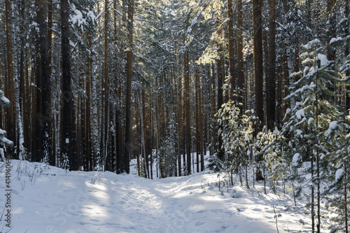 winter taiga of the Ural mountains