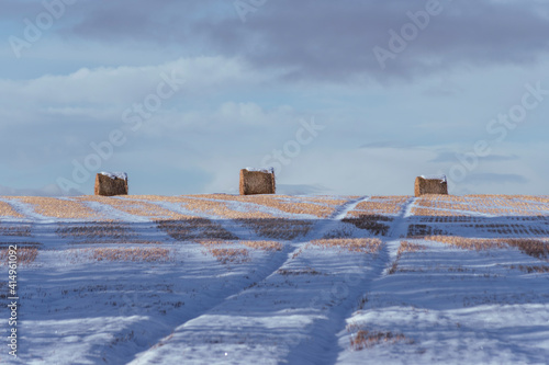 Hay field in the Winter, Edinburgh