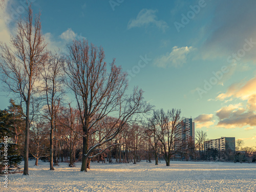 Schnee im Park