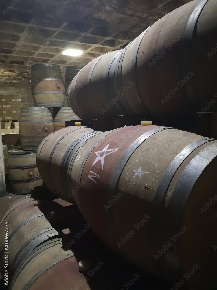 Wine barrels in a cellar