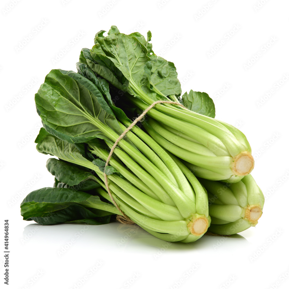 Fresh harvested Tah Tsai lettuce isolated on white. Tah Tsai or (Tatsoi) a commly used green leaf vegetable in Chinese and oriental dishes. Fresh harvested Tah Tsai lettuce isolated on white. Tah Tsai or (Tatsoi) a commly used green leaf vegetable in Chinese and oriental dishes.