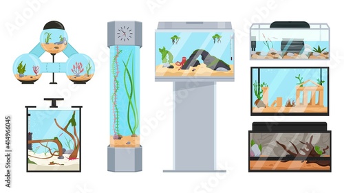 Beautiful fish tanks set