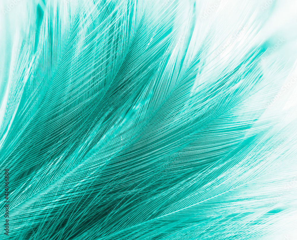 Beautiful abstract green feathers on black background, yellow feather texture on dark pattern, green background, feather wallpaper, love theme, valentines day, dark texture Beautiful abstract green feathers on black background, yellow feather texture on dark pattern, green background, feather wallpaper, love theme, valentines day, dark texture