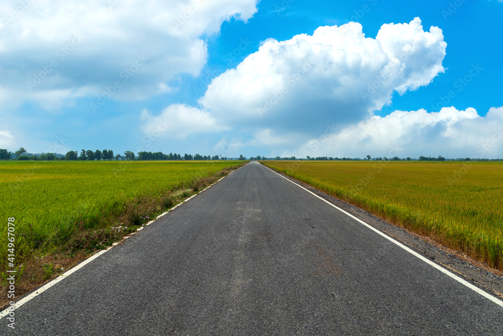 straight road between the green and golden rice fields has a bright sky and clouds.