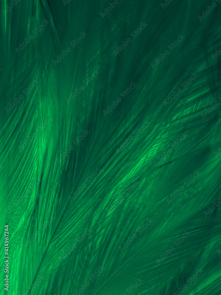 Beautiful abstract green feathers on black background, yellow feather