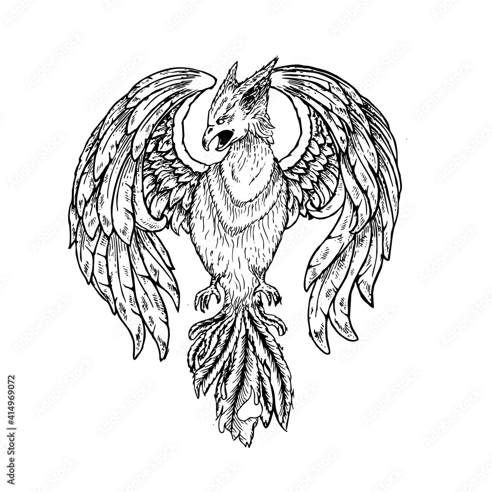 Obraz premium Handdrawn Phoenix Black And White