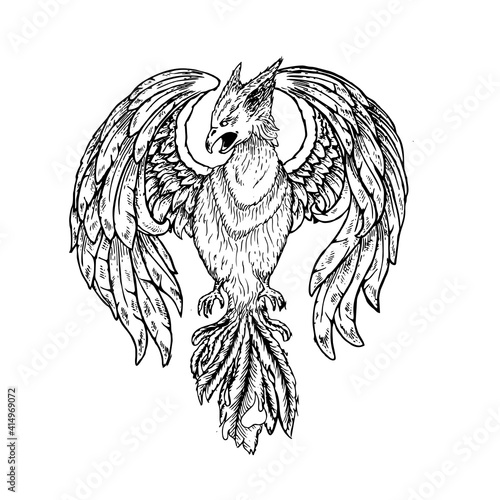 Handdrawn Phoenix Black And White