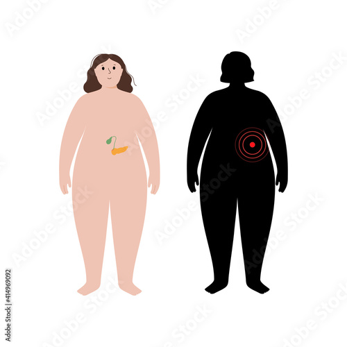 Organs in obese human body