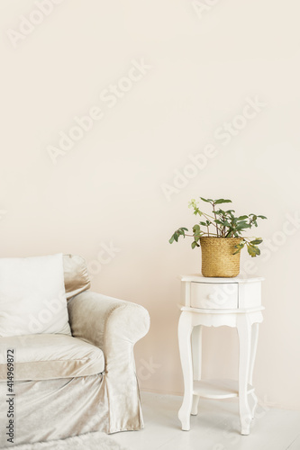 sofa with flower in modern interior. Empty space for text