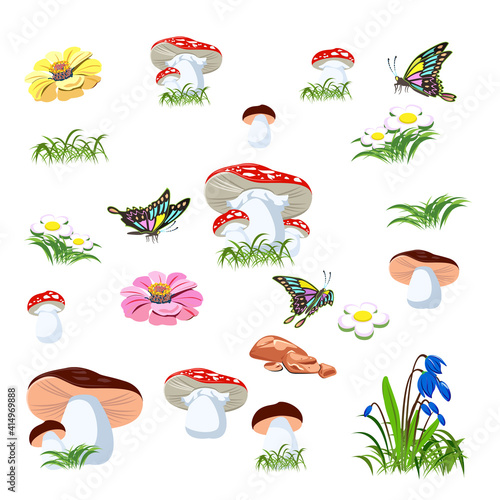 Vector set of fabulous plants from mushrooms, flowers, butterflies, grass. Swallowtail, chamomile, bellflower, amanita and boletus isolated on white background