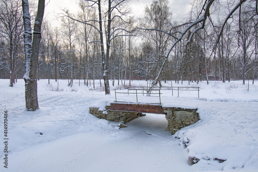 Winter landscape in the forest.