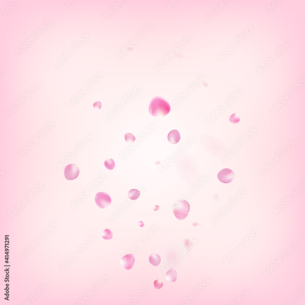 Rose Petals Flying Confetti. Blooming Cosmetics Ad Noble Floral