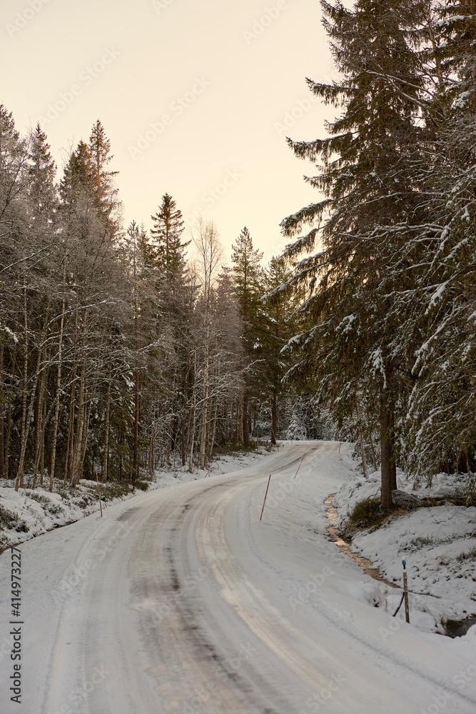 road in winter forest road in winter forest