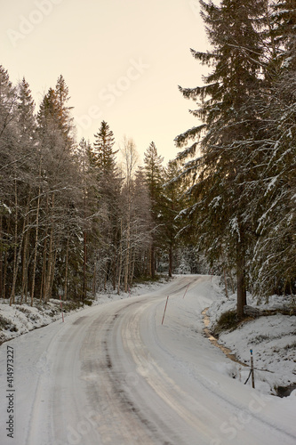 road in winter forest