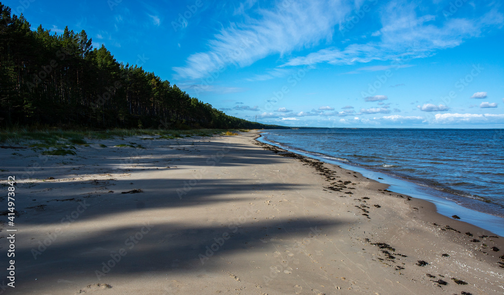 nordic beach and sea in sunshine morning landscape with pines and blue sea and long shadows 