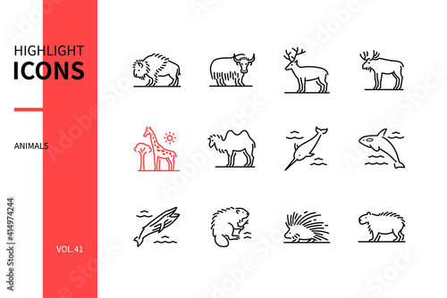Animals collection - modern line design style icons set