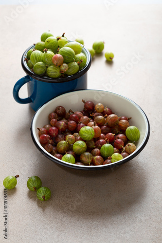 Green and red gooseberries in enamel bowl and cup, summer concept