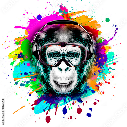 monkey head in reggae hat a...