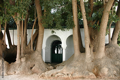 Monuments of the city of Safi in Morocco photo