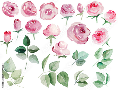 Watercolor rose roses and green leaves Illustrations