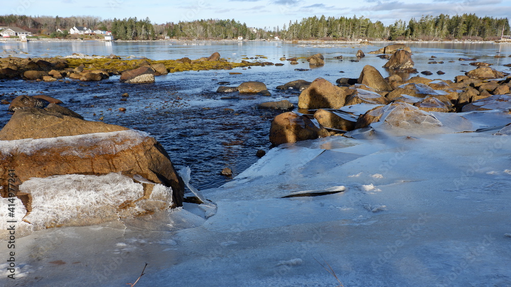 Fototapeta premium river in the forest