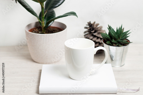 White mug, Ficus home plant, cactus, fir cone, on the white wall. Scandinavian style interior. Concept of minimalism. Modern workplace. Copy space