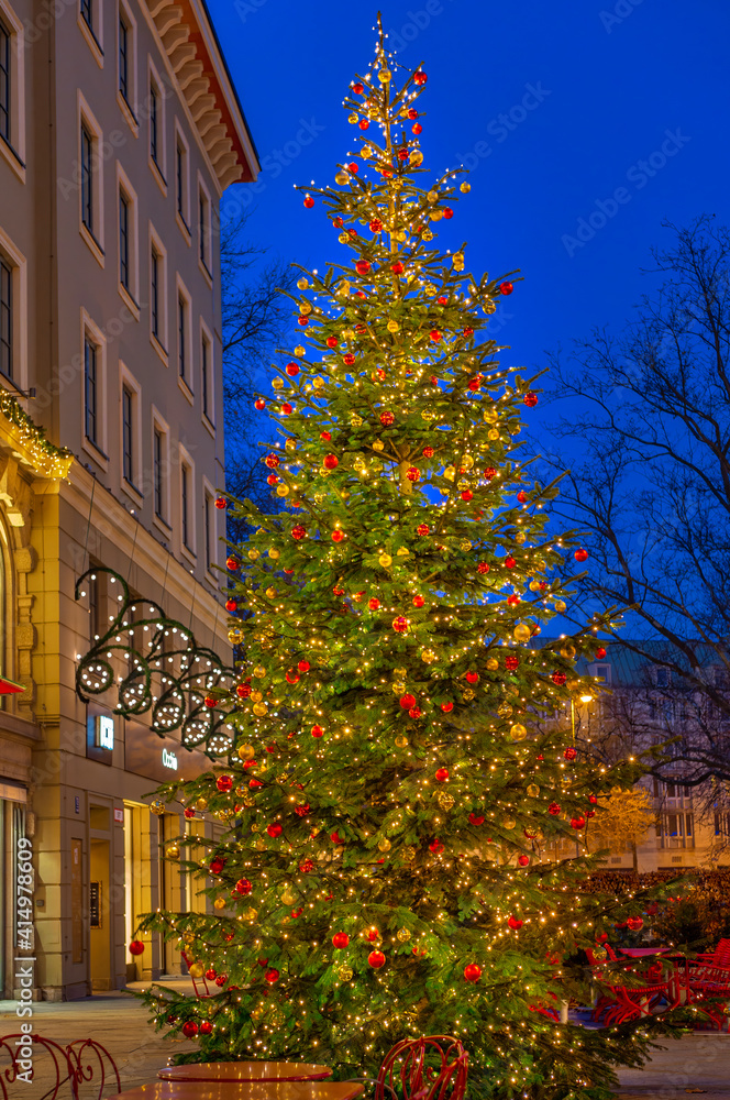 Beleuchteter Weihnachtsbaum in Münchn bei Nacht, Bayern, Deutschland