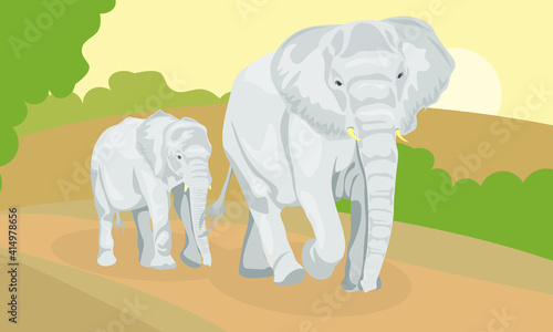 Family of African elephants. isolated image elephant and cub. Nature and animals of Africa. Animals of the circus, zoo. Nature reserves and national parks. The elephant walks. vector