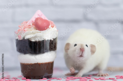 White cute decorative rat sits next to sweet dessert. A piece of birthday chocolate cake decorated with a pink heart and chocolate bar. Hearts are scattered on the floor. White brick wall in the back
