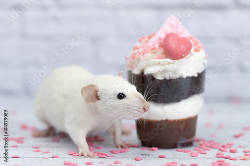White cute decorative rat sits next to sweet dessert. A piece of birthday chocolate cake decorated with a pink heart and chocolate bar. Hearts are scattered on the floor. White brick wall in the back