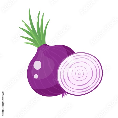 Cartoon onion whole and sliced. Vector illustration isolated on white background.