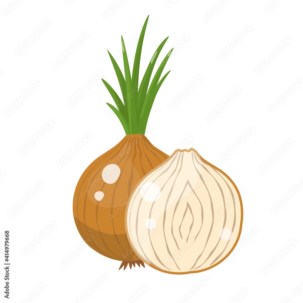 Cartoon onion whole and sliced. Vector illustration isolated on white background.