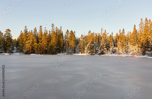 winter forest in the snow © imagemanufaktur