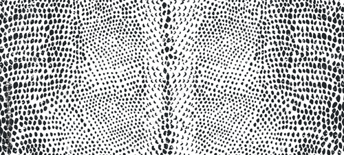 Snake skin seamless pattern. Vector illustration.