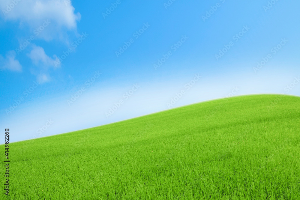 Landscape view of green grass on slope with blue sky background.