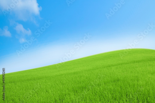 Landscape view of green grass on slope with blue sky background. © Rungsan