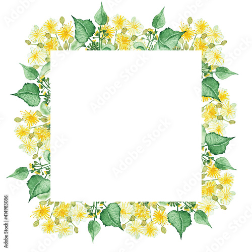 Watercolor hand painted nature squared border frame with yellow lime blossom flowers and green leaves bouquet on the white background for invite and greeting card with space for text