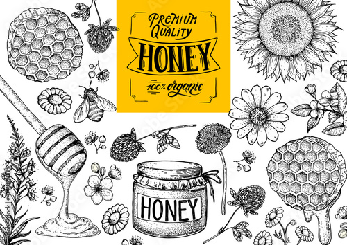 Honey hand drawn vector illustration. Healthy food illustration. Lettering Premium Quality Honey 100% Organic. Honeycomb, flowers, jar of honey sketch.