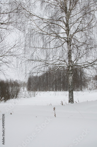 nature in winter in cloudy weather