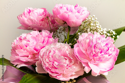 Beautiful bouquet of pink peonies on a gray background.