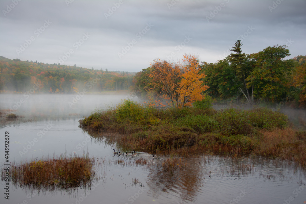 Geese swimming in Greg Lake in autumn with fog and foliage