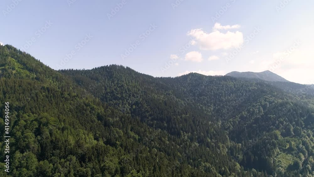 Aerial view of evergreen pine trees at mountain, Germany. Aerial view of evergreen pine trees at mountain, Germany.