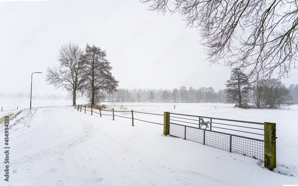 Naklejka premium View over nature reserve or protected landscape outside of Loenen at edge of Veluwe and IJsselvallei (IJssel valley) in the Netherlands