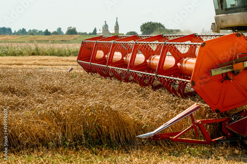 Fotografia Rotary straw walker combine harvester cuts and threshes ripe wheat grain