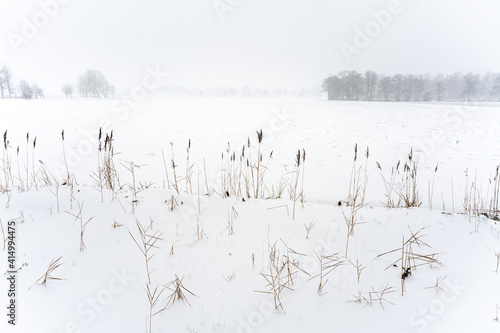 Wallpaper Mural View over nature reserve or protected landscape outside of Loenen at edge of Veluwe and IJsselvallei (IJssel valley) in the Netherlands Torontodigital.ca