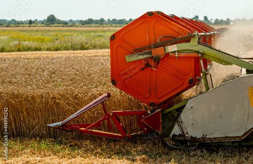Rotary straw walker combine harvester cuts and threshes ripe wheat grain. Platform grain header with thresher reel, cutter bar reaping cereal ears. Gathering crop by agricultural machinery on field